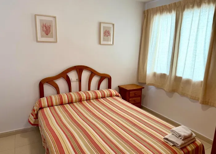 Apartamentos Colon